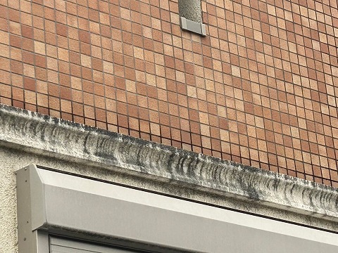 外壁の詳細写真