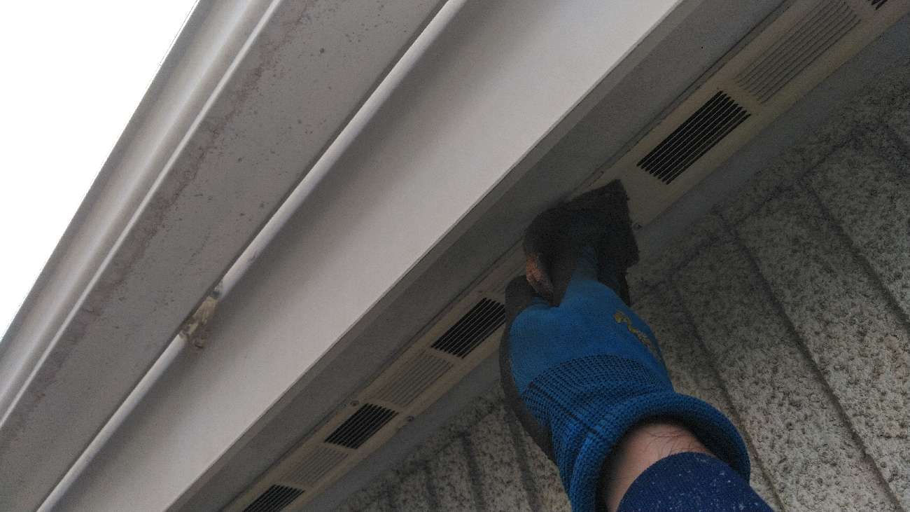 ④軒天塗装の詳細写真