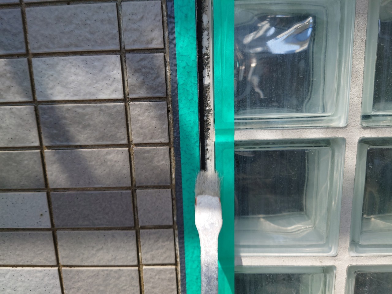 ③シーリングの詳細写真