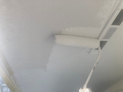 ③軒天塗装の詳細写真