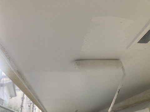 ③軒天塗装の詳細写真