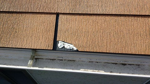 ②屋根補修の詳細写真