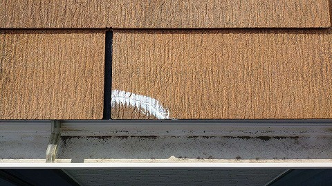 ②屋根補修の詳細写真