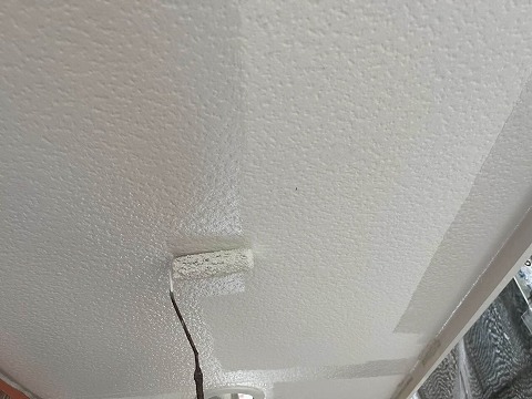 ③軒天塗装の詳細写真