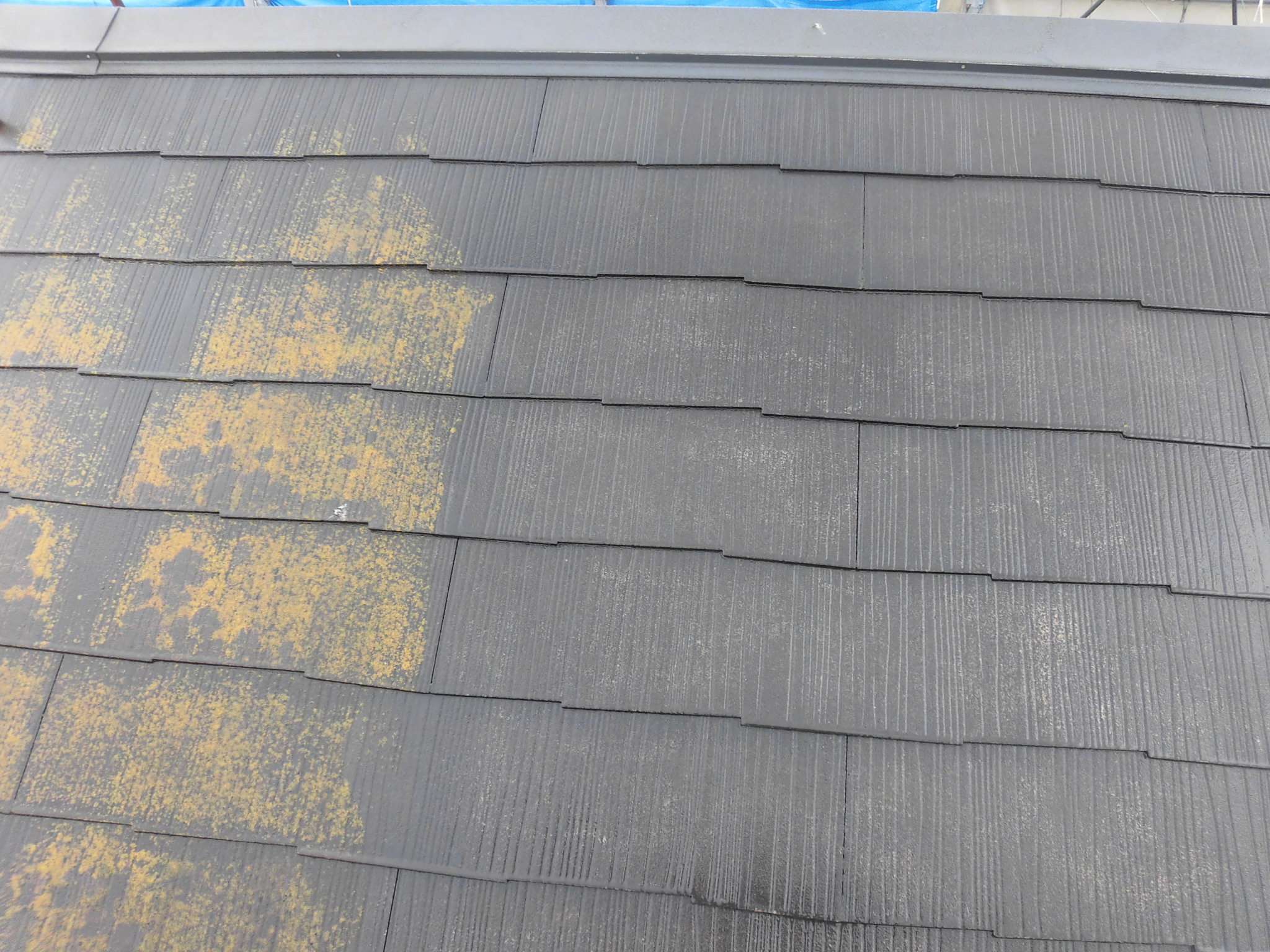 ①高圧洗浄の詳細写真