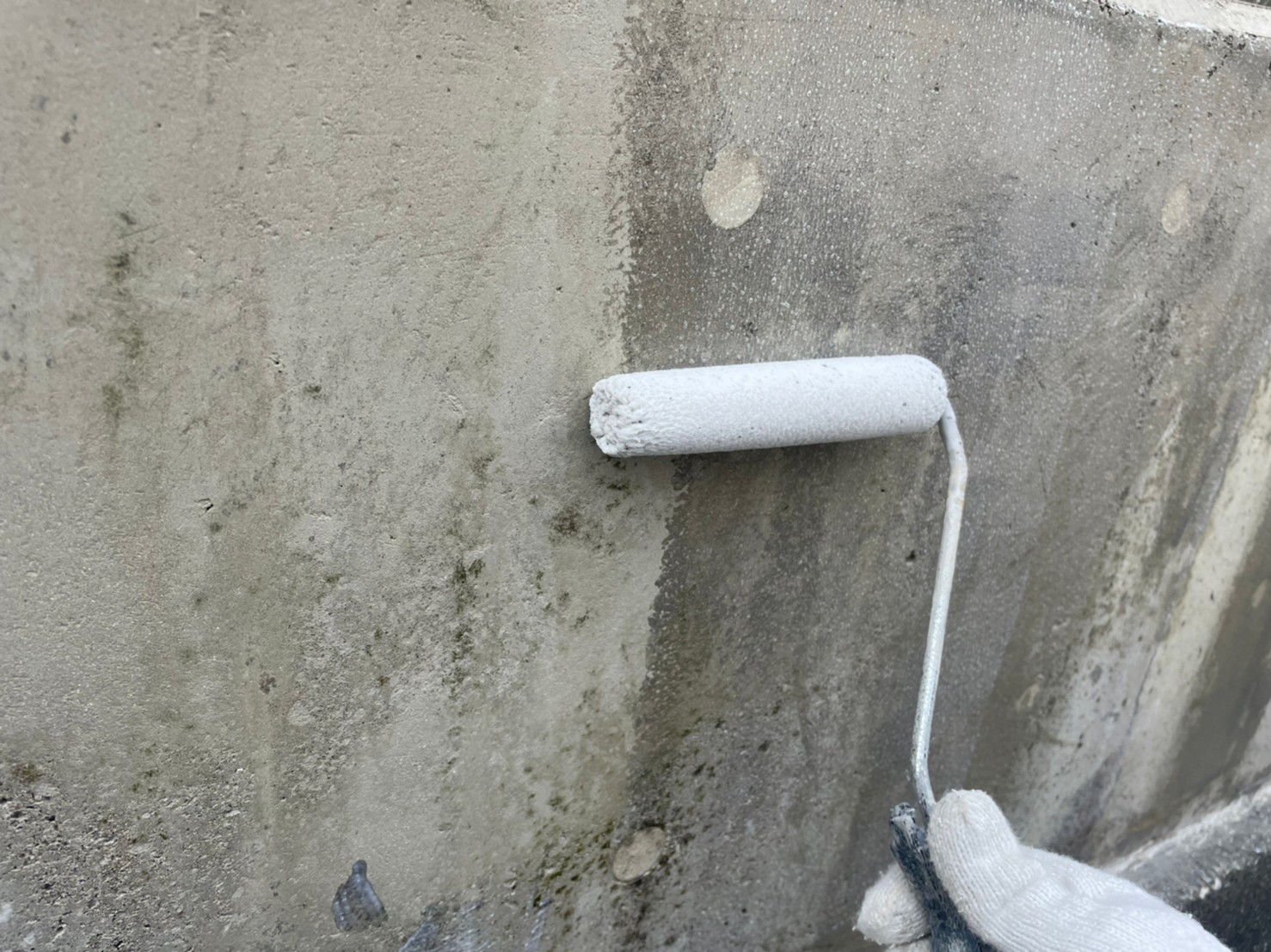 ②門塀 塗装の詳細写真